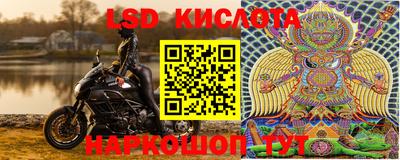 кокс Дмитров