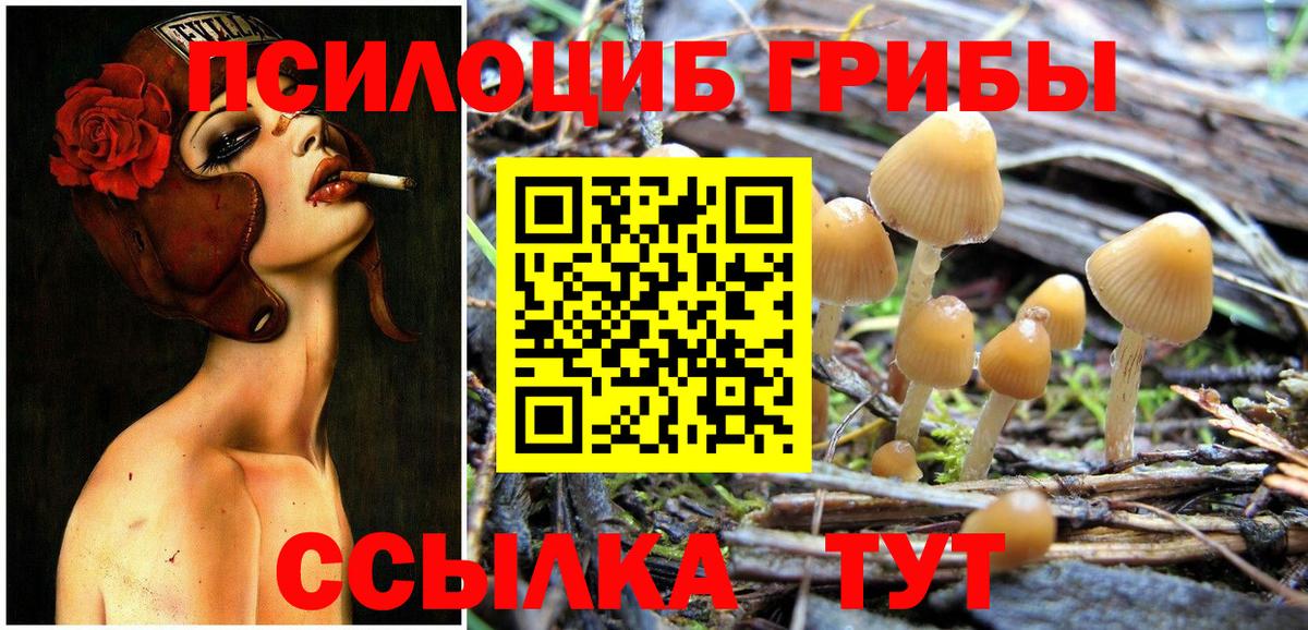 Галлюциногенные грибы мухоморы  Псилоцибиновые грибы Psilocybine cubensis  что такое наркотик  Вход с VPN  Вышний Волочёк 