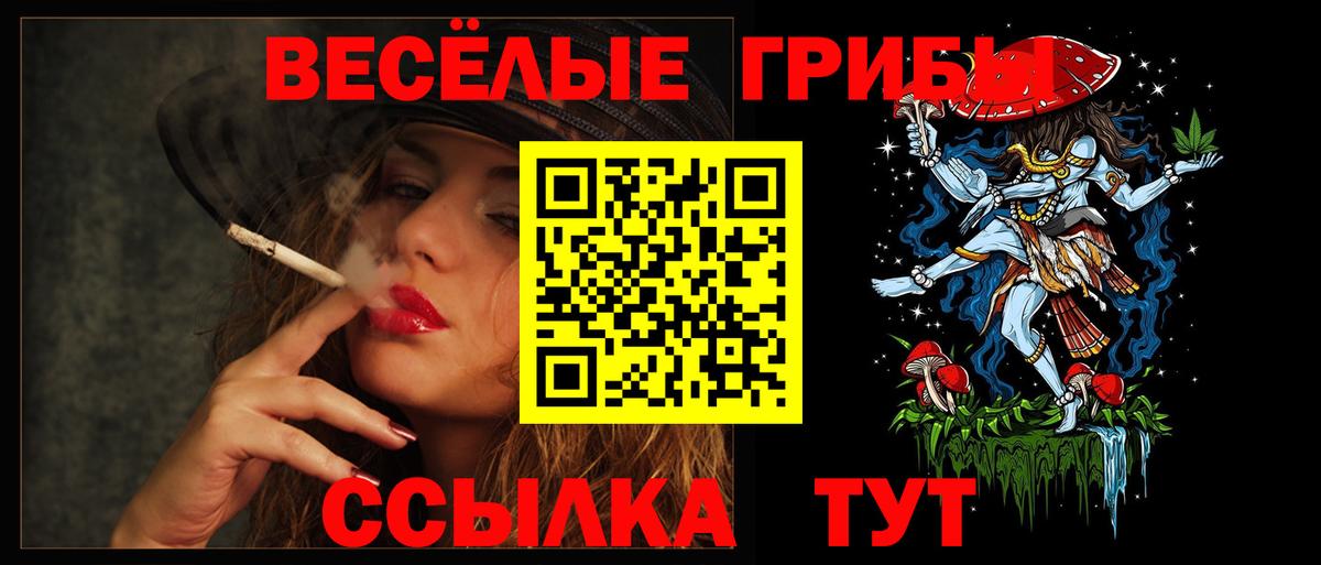 Галлюциногенные грибы Cubensis Вышний Волочёк